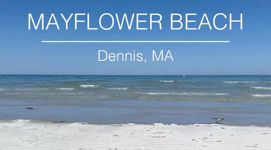 Mayflower Beach, Dennis