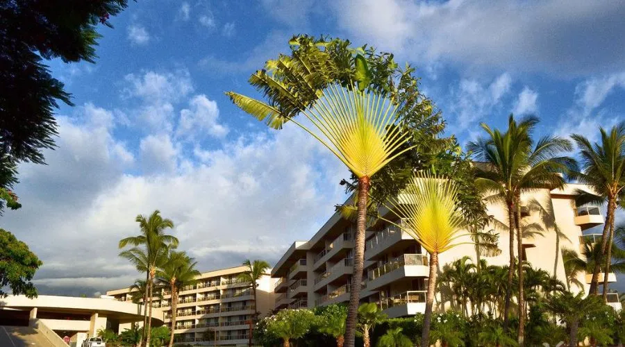 Maui Banyan Vacation Club