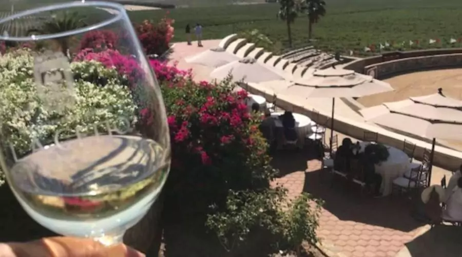 PRIVATE TOUR - From Tijuana Mexico: Valle de Guadalupe Private Winery Tour